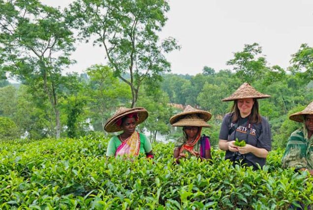 srimangal tour package: Tourist with Local Tea garden workers