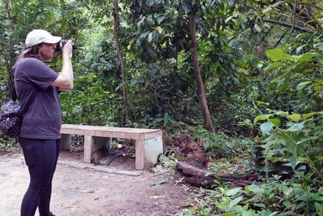Sreemangal Tour Package: Tourist in the Lawachara National Park