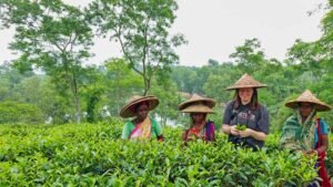 Tourist with Local Tea garden workers at Sreemangal | Bangladesh Tour Package