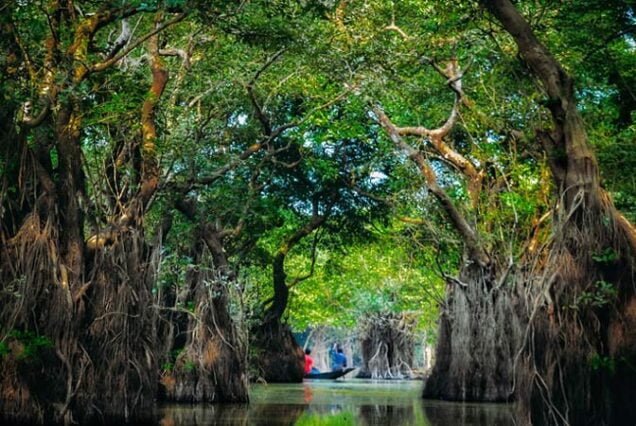 ratargul swamp forest sylhet