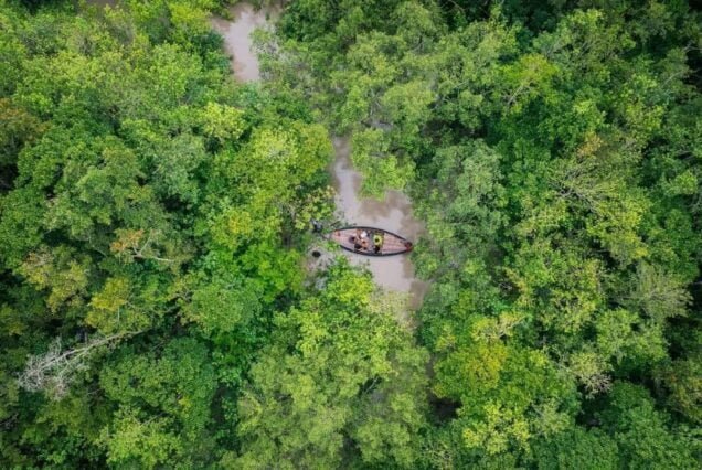 Top view of a canal of Sundarban