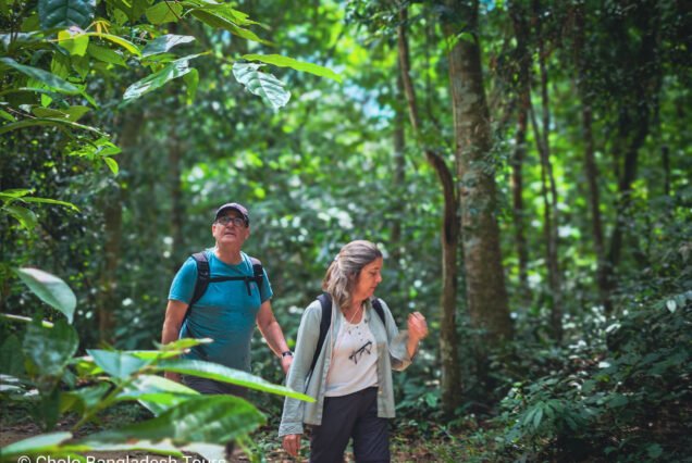 hiking on the trail inside the lawachara rain forest sreemangal rsz2