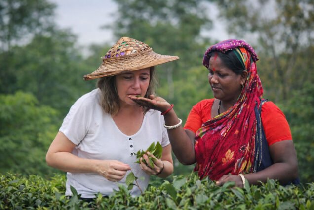Srimangal Tour Package from Dhaka : Traveler Learning Tea Leaf Picking Technique from a female Tea worker during Srimangal Tour