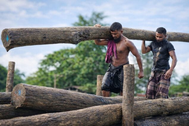 barishal timber floating market bangladesh