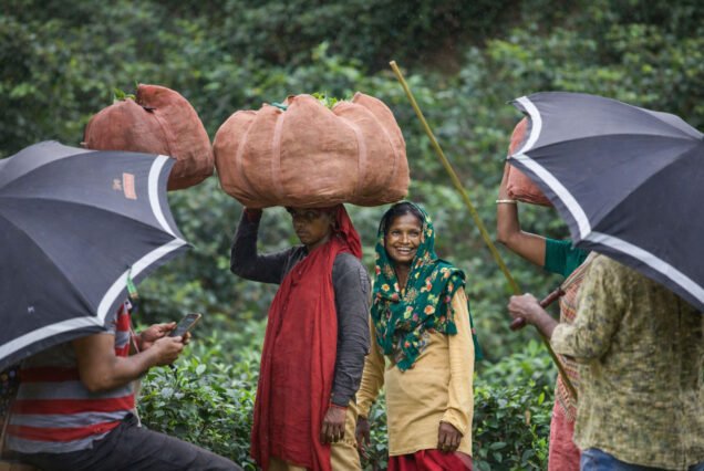 Sreemangal Tour from Dhaka: Tea Worker Submitting their collected leaves and getting paid