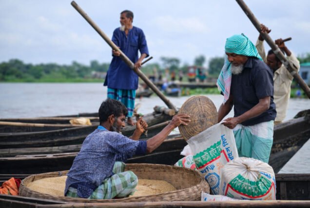 Floating Rice market in Barishal - Barishal Backwater Tour